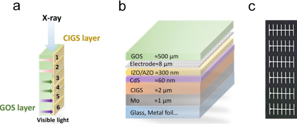 深圳先进院在高灵敏度能量分辨型X射线探测器研究方面获进展