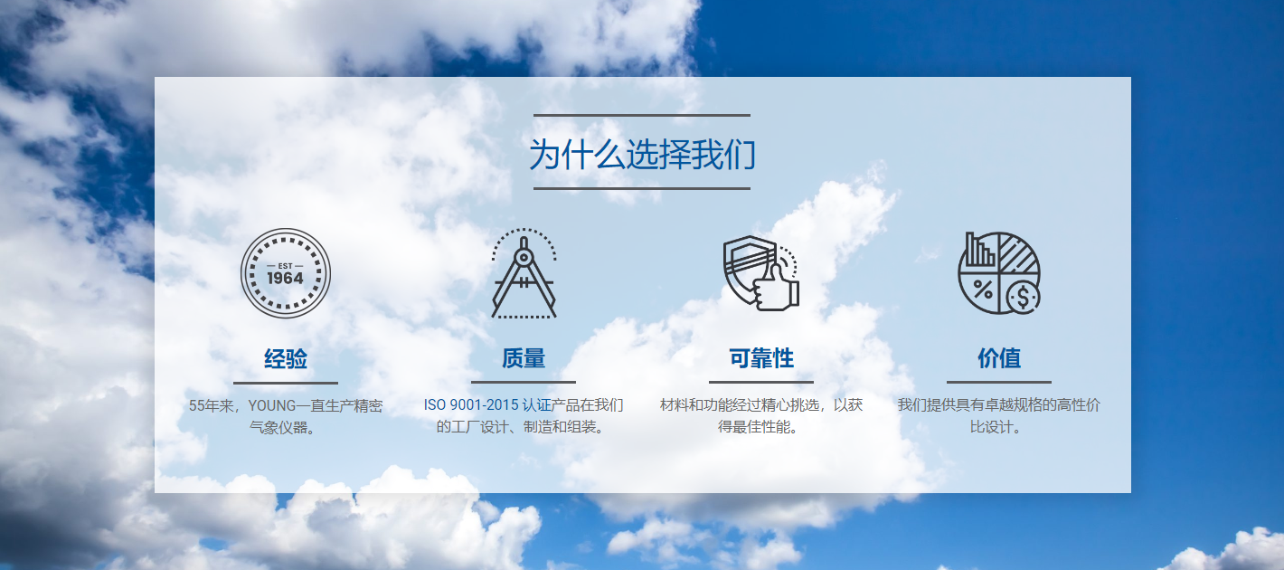 品牌介绍——R.M.YOUNG