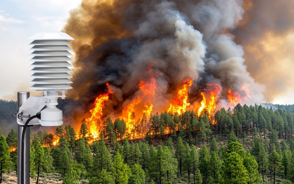 Temp-by-fire-980x614.jpg